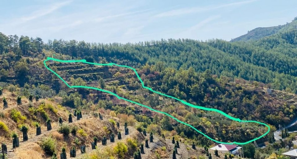 Alanya Çamlıca'da Satılık Tarla